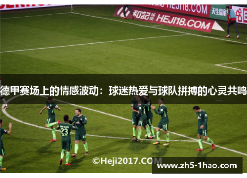 德甲赛场上的情感波动：球迷热爱与球队拼搏的心灵共鸣