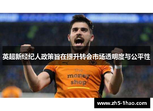 英超新经纪人政策旨在提升转会市场透明度与公平性 英超新经纪人政策旨在提升转会市场透明度与公平性