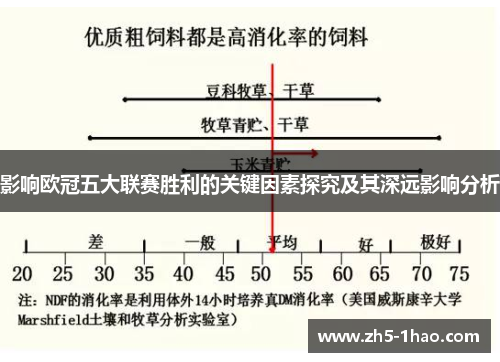 影响欧冠五大联赛胜利的关键因素探究及其深远影响分析