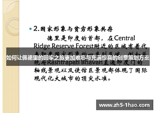 如何让佩德里的回家之旅更加难忘与充满惊喜的创意策划方案
