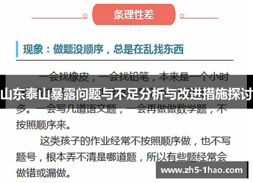 山东泰山暴露问题与不足分析与改进措施探讨