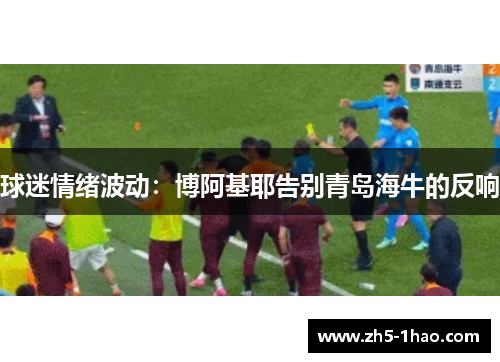 球迷情绪波动：博阿基耶告别青岛海牛的反响