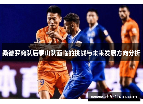 桑德罗离队后泰山队面临的挑战与未来发展方向分析