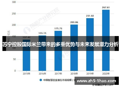 苏宁控股国际米兰带来的多重优势与未来发展潜力分析