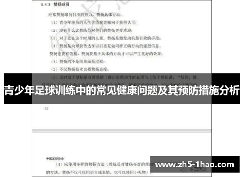 青少年足球训练中的常见健康问题及其预防措施分析